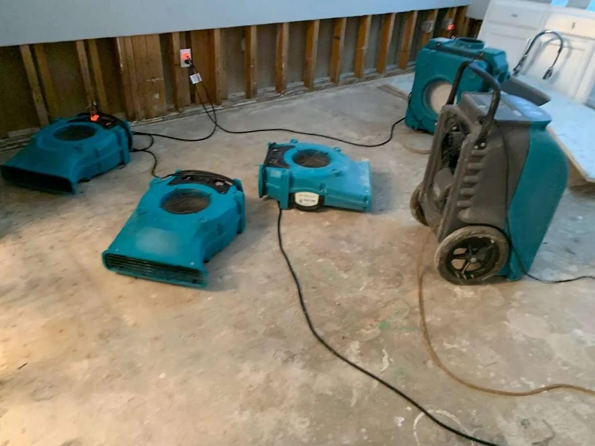 Water Damage Restoration services in Alton, TX